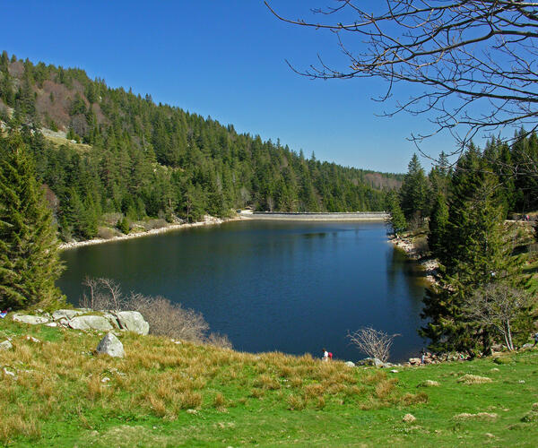 Alsace et Hautes-Vosges