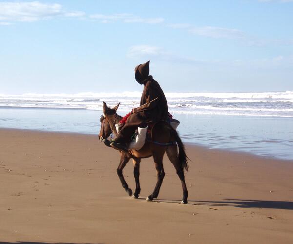 Maroc : Randonnée et Bien-Être à Essaouira