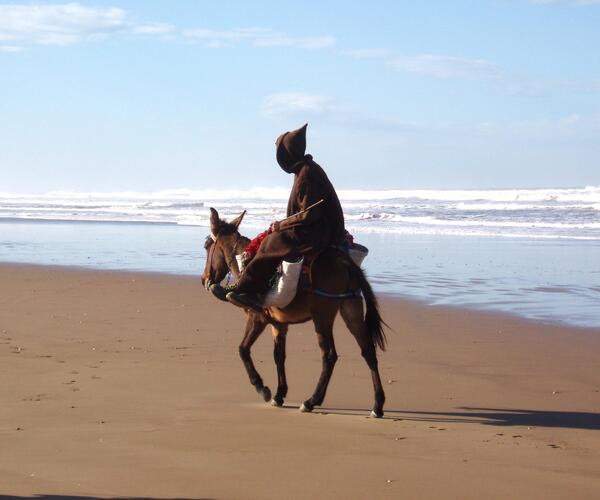 Maroc : Randonnée et Bien-Être à Essaouira