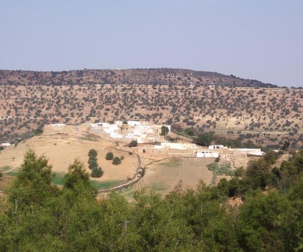 Maroc : Randonnée et Bien-Être à Essaouira