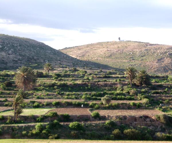 Maroc : Randonnée et Bien-Être à Essaouira