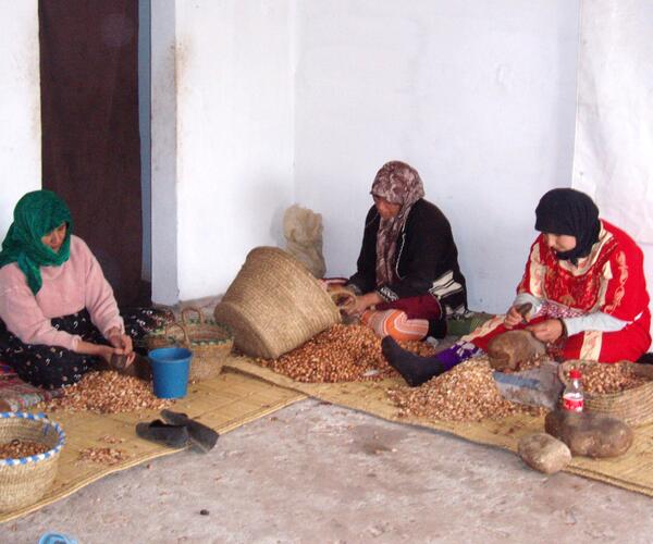 Maroc : Randonnée et Bien-Être à Essaouira