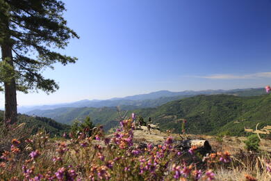 Le Puy en Velay - Saint Jean du Gard