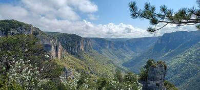 Cévènnes et Gorges du Tarn à vélo