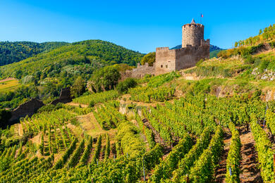 Alsace et Hautes-Vosges