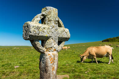 Tour de l'Aubrac