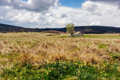 Compostelle Grand Confort : La Grange des Enfants - Conques