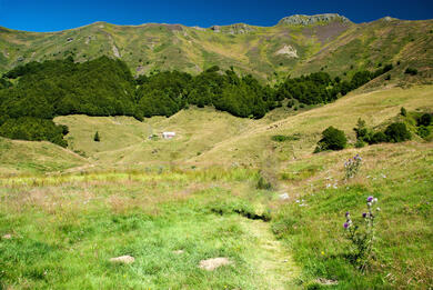 Auvergne Cantal : La Vallée de la Jordanne