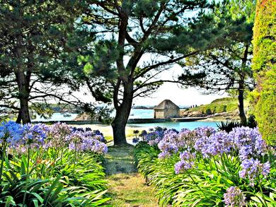 Séjour Réveillon en Bretagne : Paimpol et sur l'île de Brehat