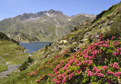 Pyrénées : séjour "eau de forme" en Cerdagne