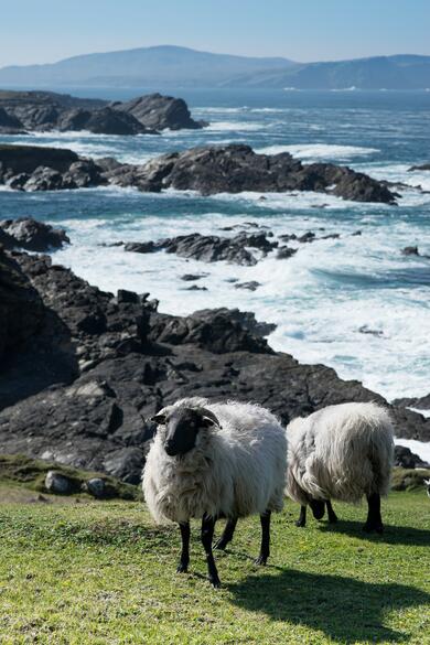 Irlande : Le Connemara et le Western Way