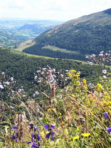 Auvergne : Les Monts du Cantal