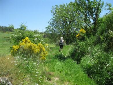 La Lozère : itinérance de Margeride en Vivarais