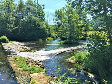 Vosges du Sud : Randonnée et Bien-être à Luxeuil les Bains