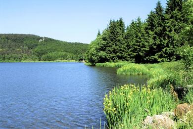 Le Chemin de Saint-Régis