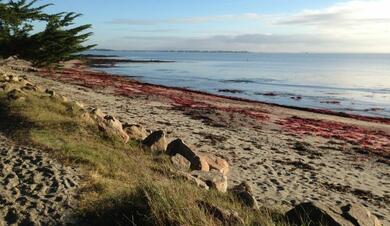 Bretagne : De Port Navalo à La Roche Bernard