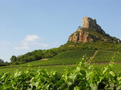 Bourgogne du Sud