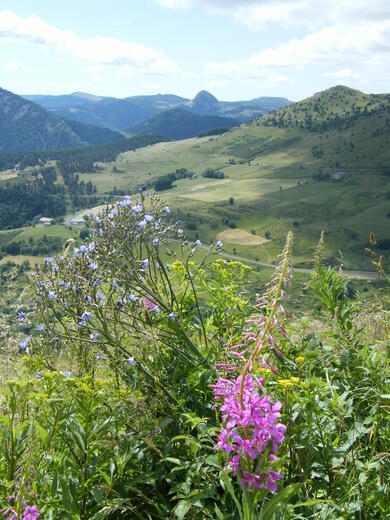 Auvergne : Massif du Mézenc