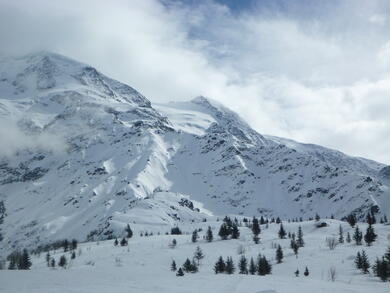 Alpes : Raquettes au Pays du Mont-Blanc