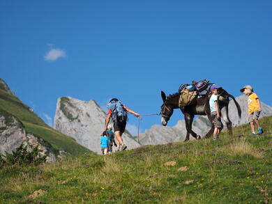 Le tour du Val d'Azun en famille avec un âne