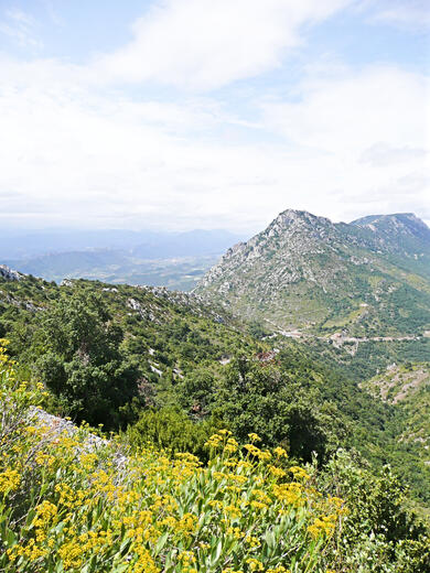 Pyrénées : Le Pays Cathare à vélo