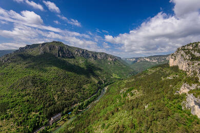 Cévènnes et Gorges du Tarn à vélo