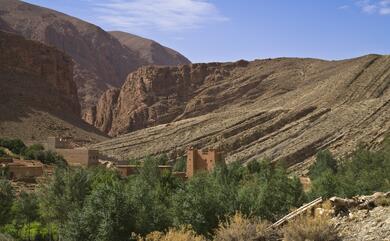 Maroc : Vallées des Roses et du M'Goun