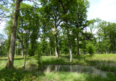 De Châteauroux à La Souterraine