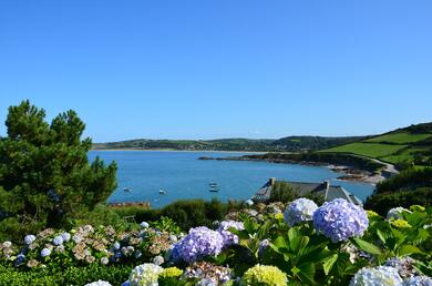 Normandie - Cotentin : De Portbail à Hauteville sur Mer