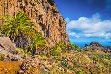 Espagne Canaries : L'île de la Gomera