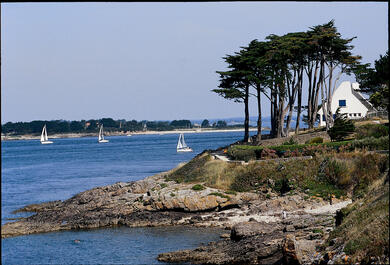 Le Tour du Golf de Morbihan à vélo