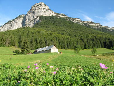 Alpes : Tour de la Chartreuse