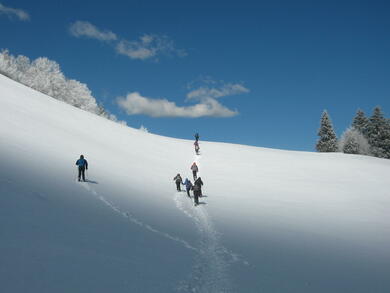 Séjour réveillon dans le Vercors