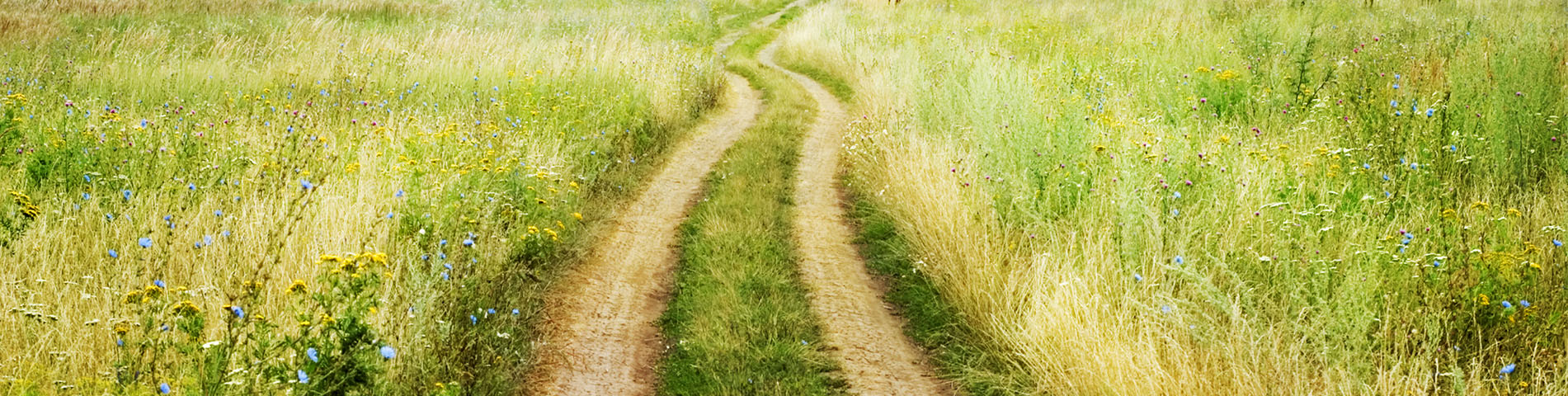 Visuel de Chemin de Fatima